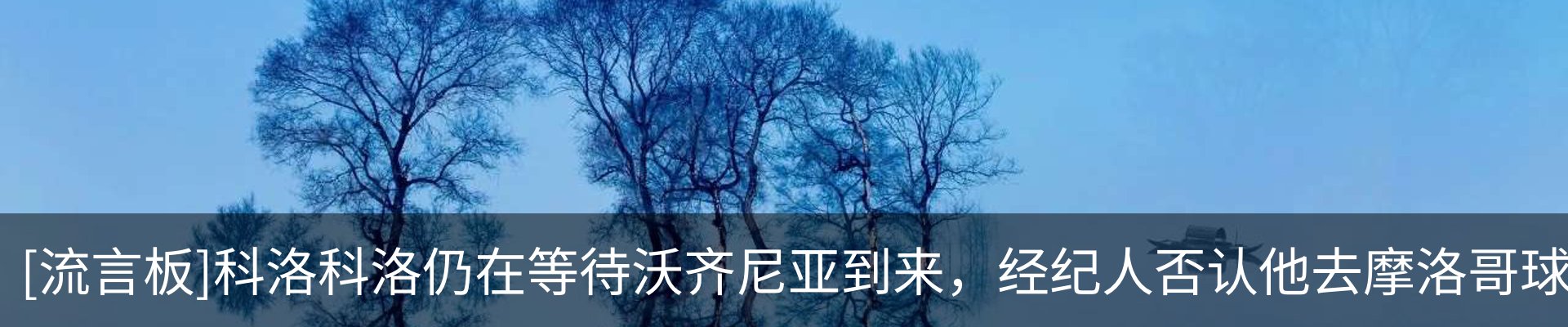 资讯动态